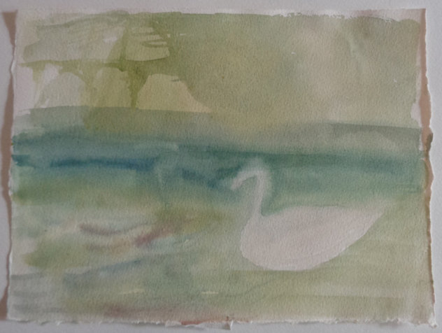 swan  18.5X25 cm